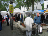 IMG_2584